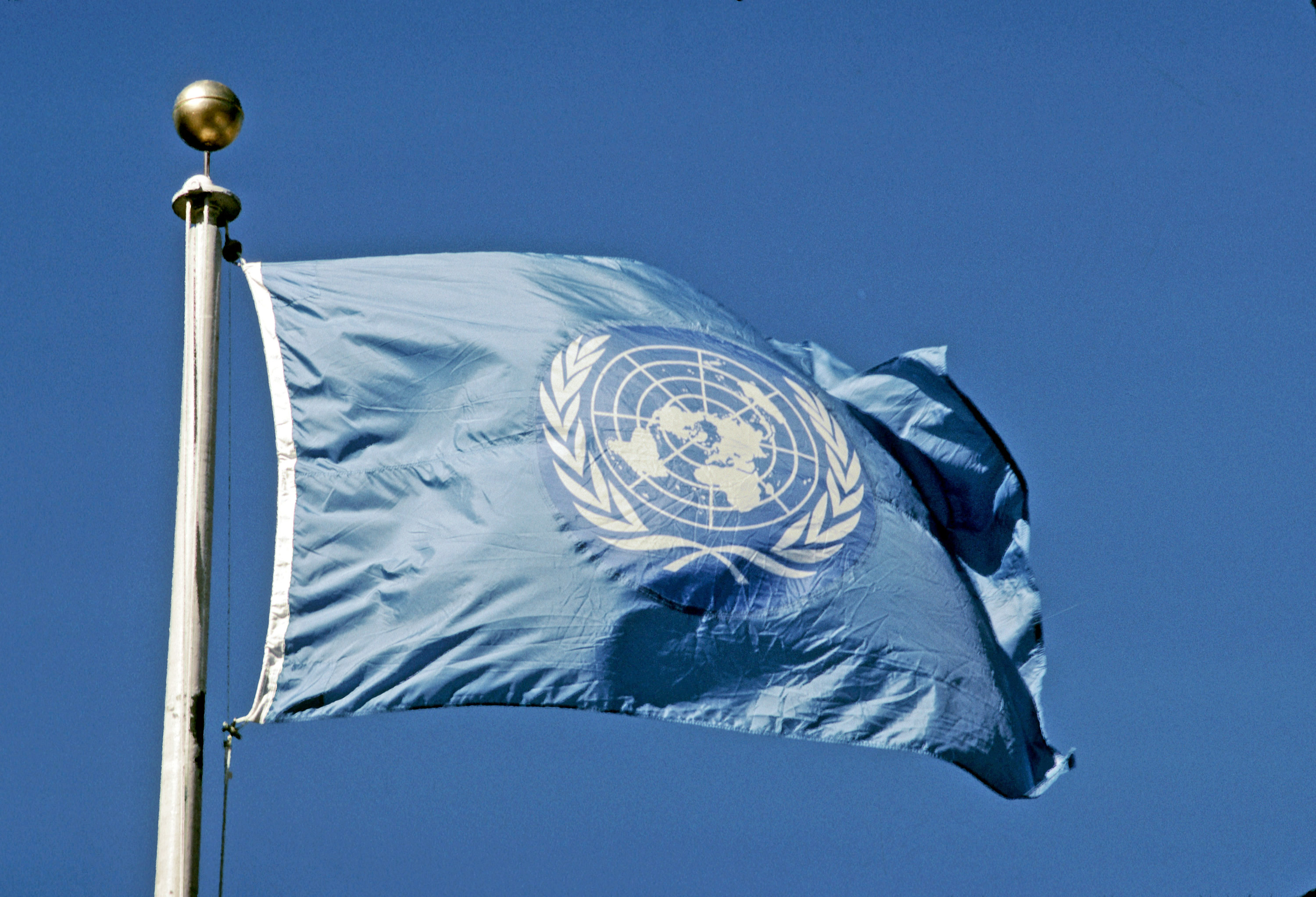Оон регистрация. Флаг ООН. Ассамблея ООН. Флаг ООН фото. Международный флаг.