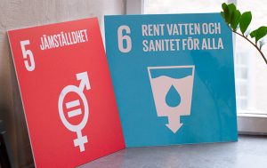Globala målen - jämställdhet och rent vatten och sanitet för alla