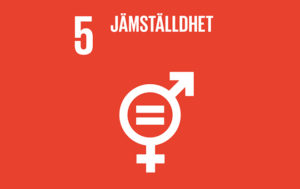 Globala mål 5 jämställdhet