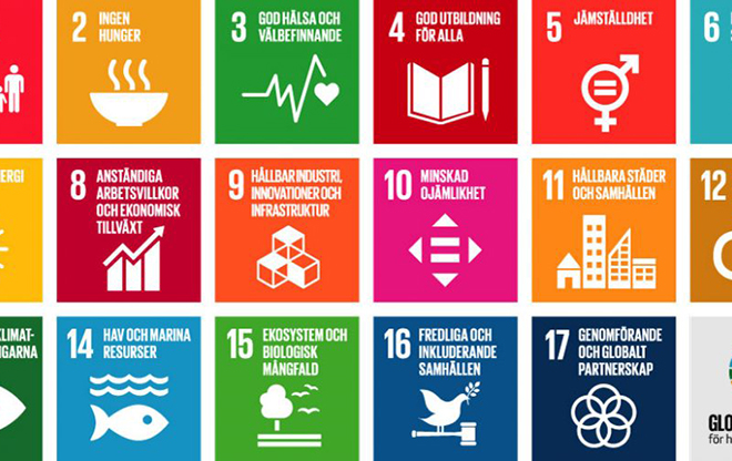 De 17 globala målen