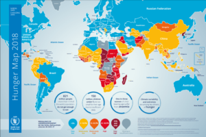 WFP:s världskarta över hunger