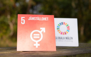 Globala målen - mål 5 jämställdhet