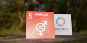 Globala målen - mål 5 jämställdhet