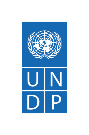 UNDP:s logotyp.